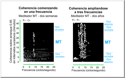 Grafico 05