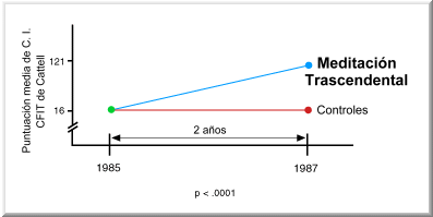 Grafico 13